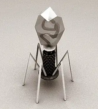 Description de l'image T4 rendered.jpg.