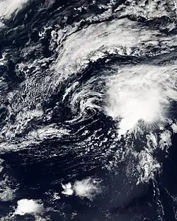 Image illustrative de l’article Dépression tropicale Dix (2004)