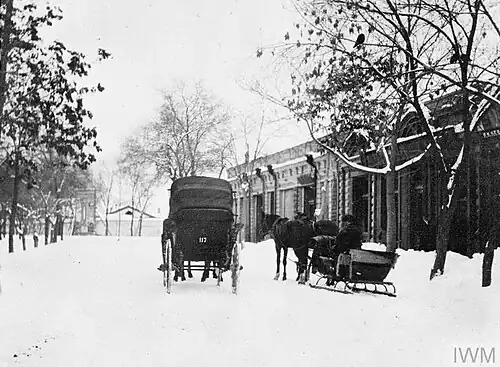 Traineaux tirés par des chevaux