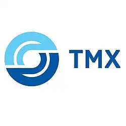 logo de Transmashholding