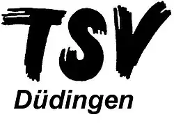 Logo du TS Volley Düdingen