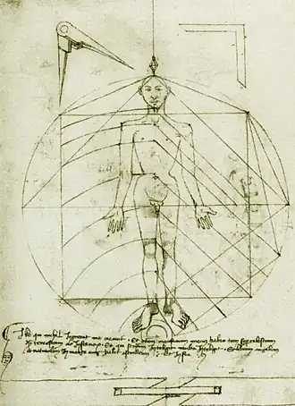 Image de l'homme vitruvien