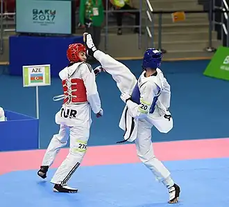 Image illustrative de l’article Yunus Sarı