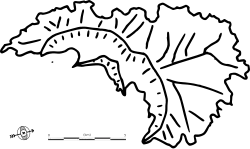 Schéma en noir et blanc de l'île, montrant les limites des deux caldeiras.