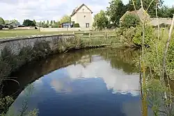 La mare aux hirondelles.