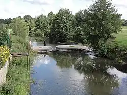 L'Helpe Majeure, peu avant sa confluence avec la Sambre, à Taisnières-en-Thiérache.