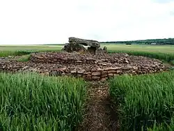 Dolmen E145,  nécropole de Monpalais à Taizé.