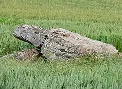 ...en bordure de la route...