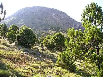 Vue du sommet du Tajumulco.