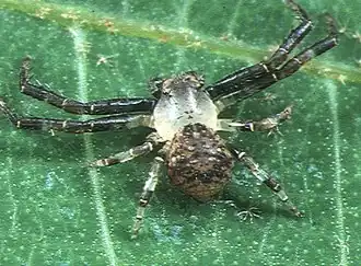 Description de cette image, également commentée ci-après