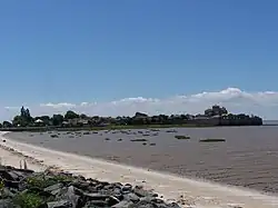 Photographie d'une baie à marée basse avec en arrière plan un éperon entouré de remparts et surmonté du village et de l'église de Talmont
