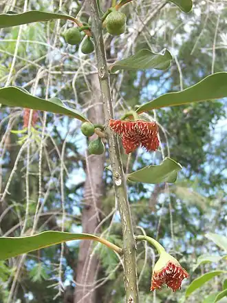 Description de cette image, également commentée ci-après