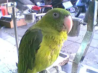 Description de cette image, également commentée ci-après