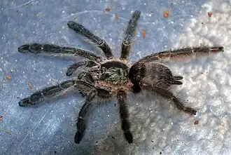 Description de cette image, également commentée ci-après