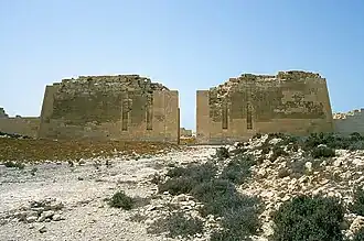 Pylône (entrée est) du temple.