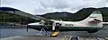 N959PA, le DHC-3 Otter impliqué dans l'accident.}}
