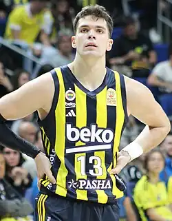 Image illustrative de l’article Tarik Biberović