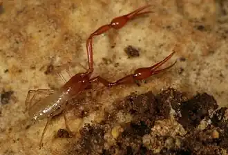 Description de cette image, également commentée ci-après