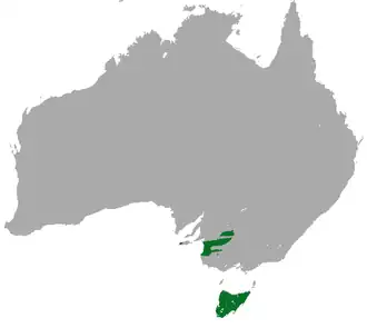 Description de l'image Tasmanian Pygmy Possum area.png.