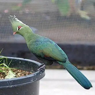 Description de cette image, également commentée ci-après