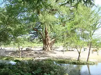 Description de cette image, également commentée ci-après