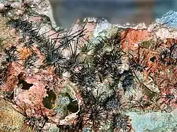 Photographie couleur de cristaux microscopiques en formes de pelotes d'aiguilles.