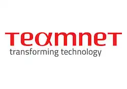 logo de TeamNet Internațional