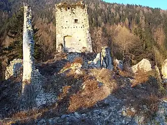 Image illustrative de l’article Château de Telve