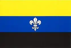 Drapeau de Temešvár