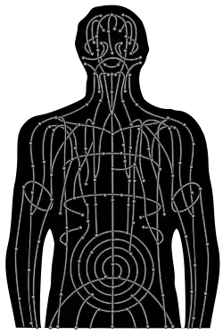 Représentation des méridiens et cavités de chakra vus par le Byakugan