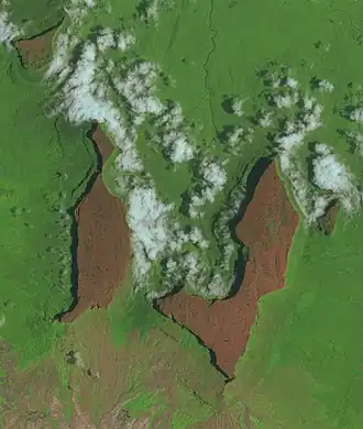 Image satellite des tepuys Yuruaní (en haut à gauche), Kukenan (à gauche), Roraima (centre droit) et Wei-Assipu (à droite).