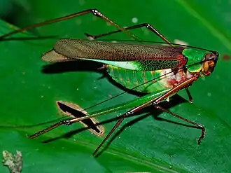 Description de cette image, également commentée ci-après