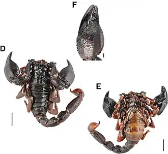 Description de cette image, également commentée ci-après