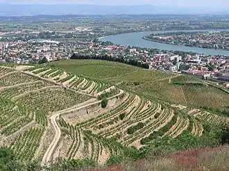 La vallée du Rhône vue depuis les hauteurs de Tain-l'Hermitage.