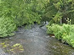 Le Thaurion au lieu-dit Vaud.