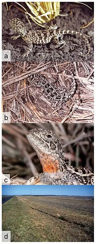 Description de cette image, également commentée ci-après