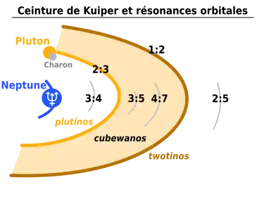 Titre : « Ceinture de Kuiper et résonances orbitales ». Neptune est indiquée puis des arcs concentriques s'éloigne de celle-ci, avec successivement la résonance 3:4, la 2:3 (plutinos dont Pluton), la 3:5, la 4:7, la 1:2 (twotinos) puis 2:5.