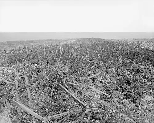 La Ligne Hindenburg à Héninel, champs de barbelés infranchissables.