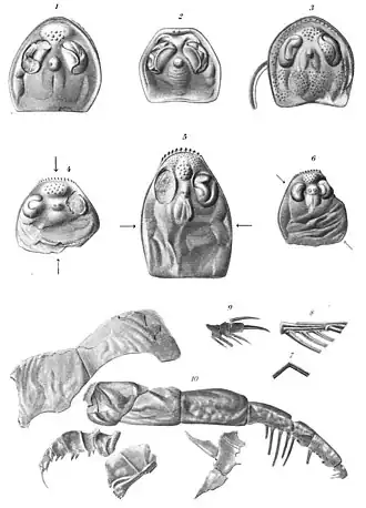 Description de cette image, également commentée ci-après