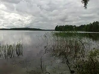 Image illustrative de l’article Onkivesi