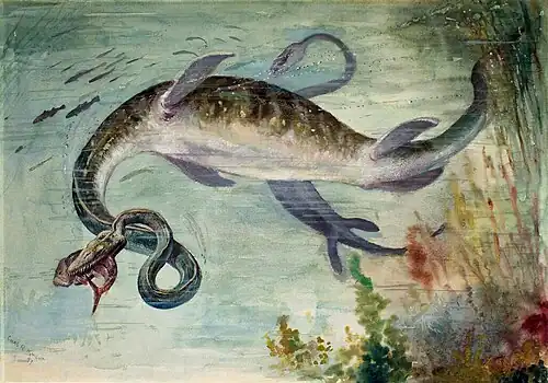 Ancien paléoart de deux élasmosaures au cou inexactement courbé. L’un est au premier plan avec un poisson dans la gueule et l’autre poursuivant un poisson en arrière-plan.