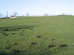 Photo d'une colline basse couverte d'herbe verte et jonchée de taupinières, avec une petite maison et une barrière blanche à l'horizon