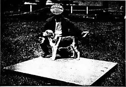 Image en noir et blanc d'un beagle présenté en concours devant son maître.