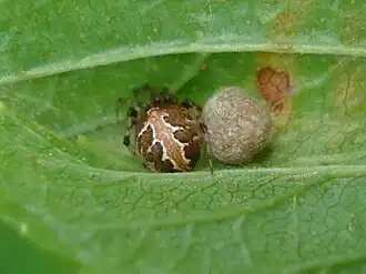 Description de cette image, également commentée ci-après