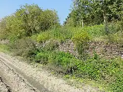 Un vestige du mur d'enceinte.