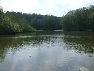 Image illustrative de l’article Thorsberger Moor