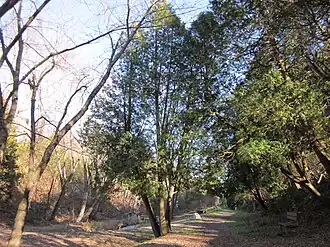 Description de cette image, également commentée ci-après