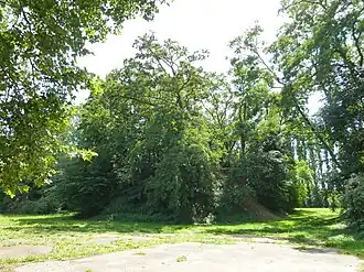 Image illustrative de l’article Tumuli de Grimde