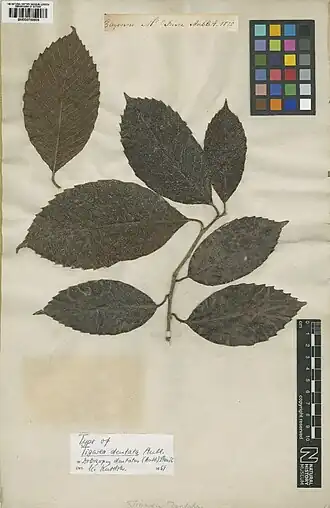 Description de cette image, également commentée ci-après