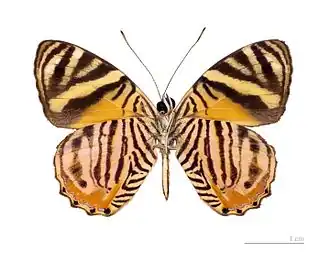 Description de cette image, également commentée ci-après